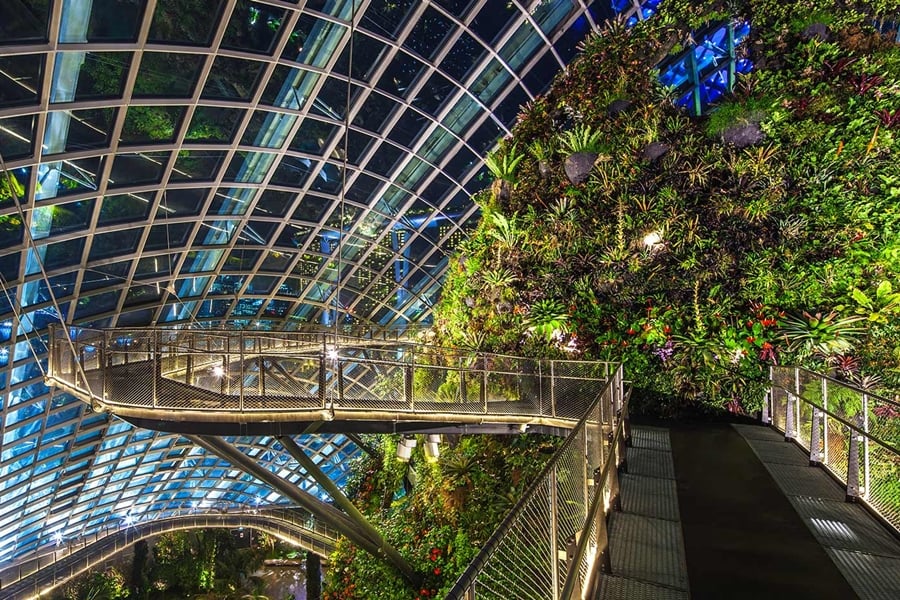 Gardens By The Bay Cloud Forest